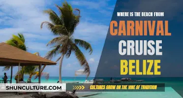 Belize's Best Beach: Carnival Cruise's Secret