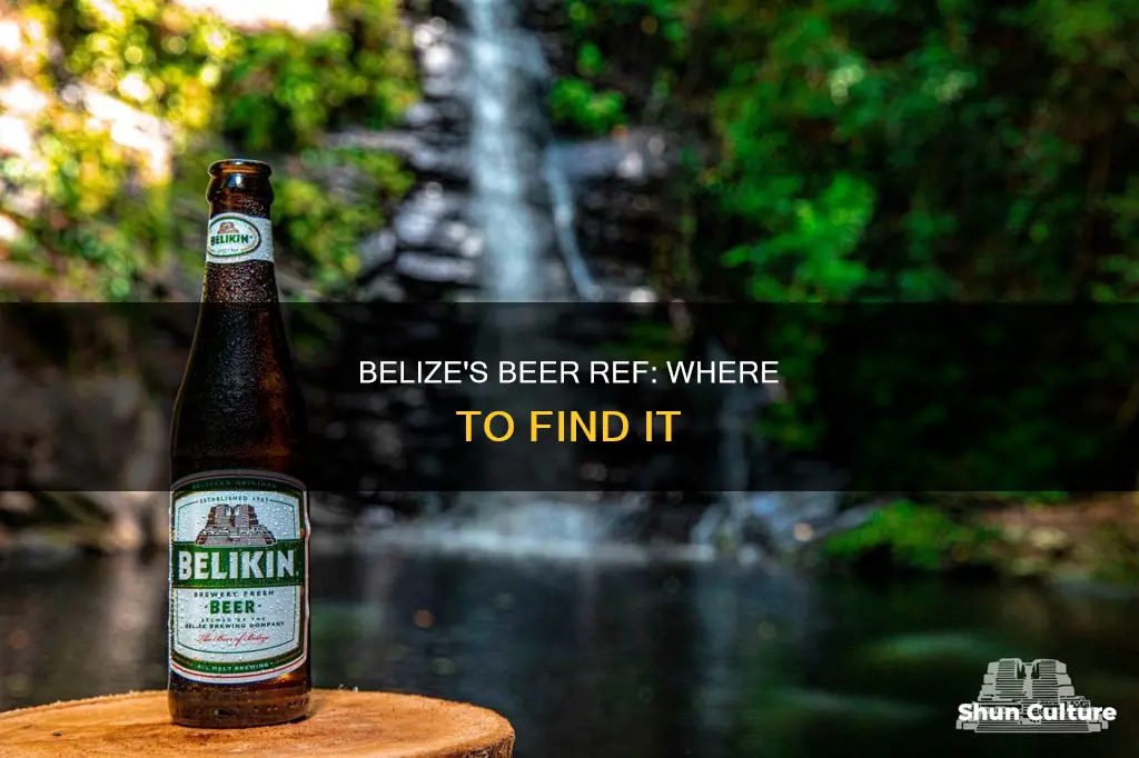 where is the beer ref in belize