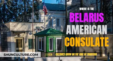 American Consulate in Belarus: Location and Services