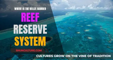 Belize's Barrier Reef Reserve: Location and Wonders