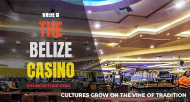 Belize Casino: Where to Find the Action