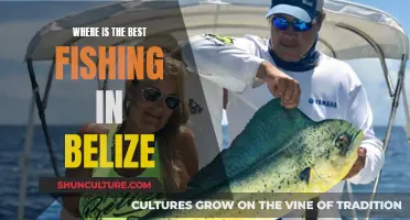 Belize's Top Fishing Destinations