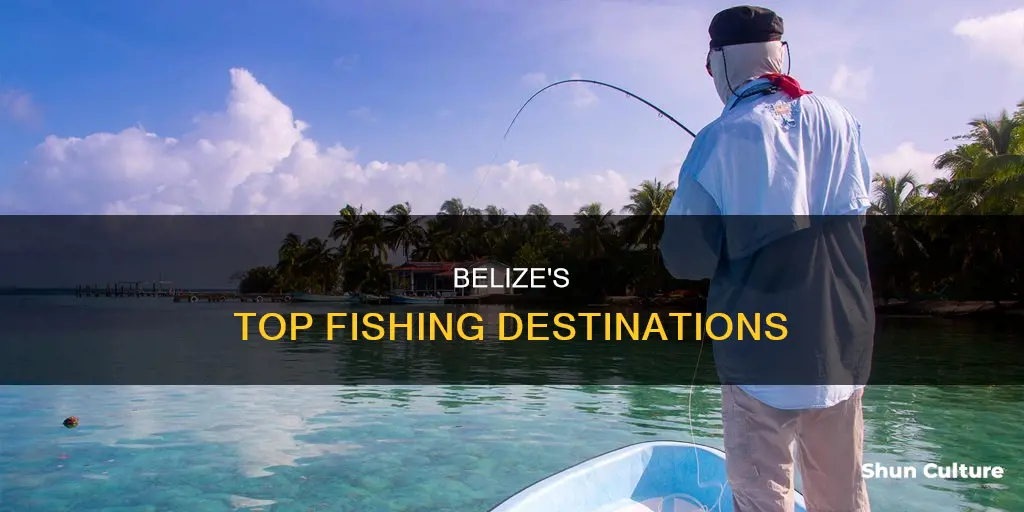 where is the best fishing in belize