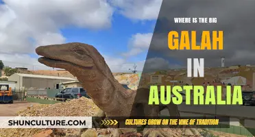 The Big Galah: Australia's Unique Landmark