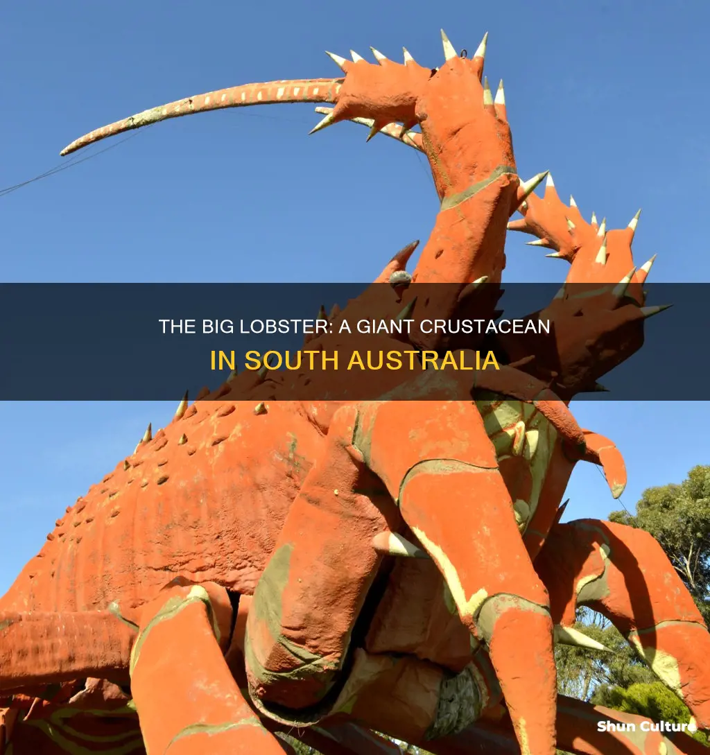 where is the big lobster in australia