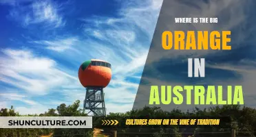Exploring Australia's Big Orange: Location and Significance