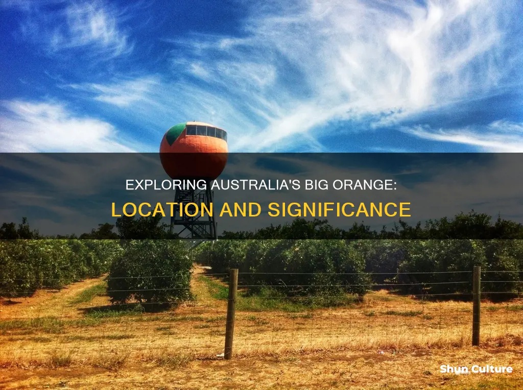 where is the big orange in australia