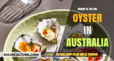 Discover Australia's Big Oyster: Location and More