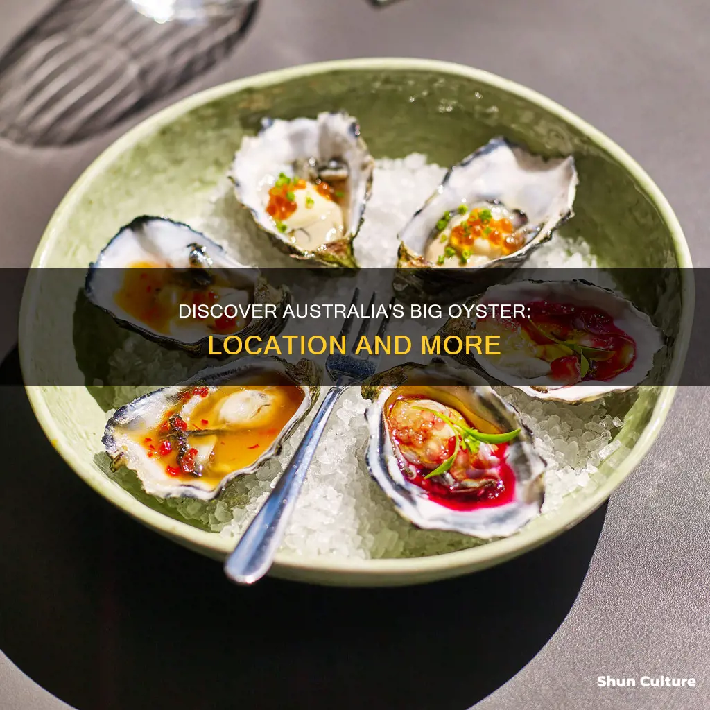 where is the big oyster in australia