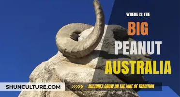 The Big Peanut: Australia's Quirky Landmark
