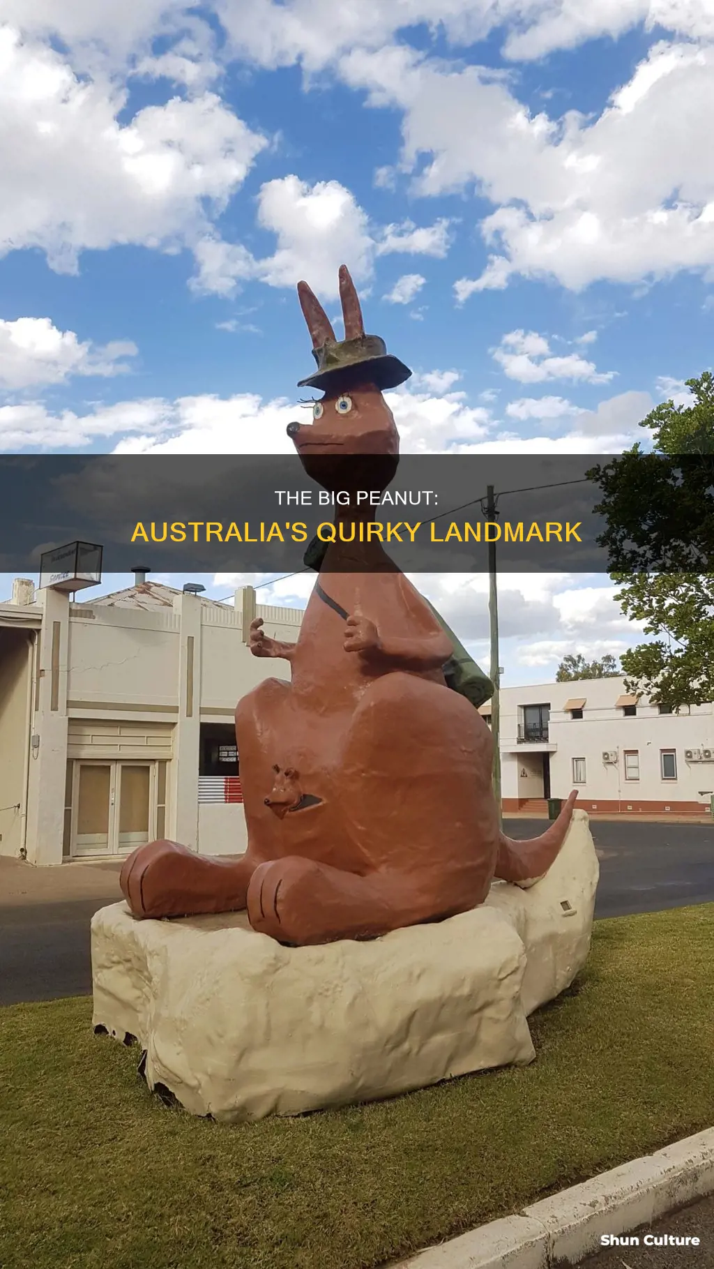 where is the big peanut australia
