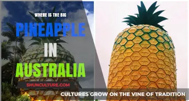The Big Pineapple: A Sweet Australian Adventure
