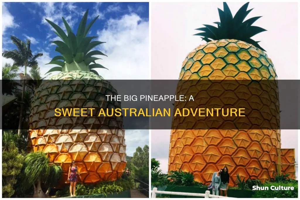 where is the big pineapple in australia