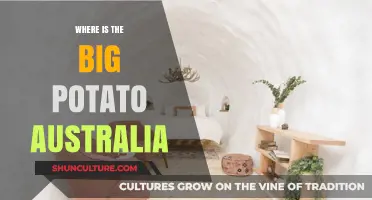 The Big Potato: Australia's Tastiest Attraction