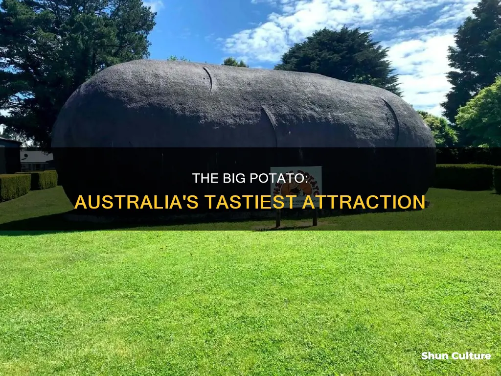 where is the big potato australia