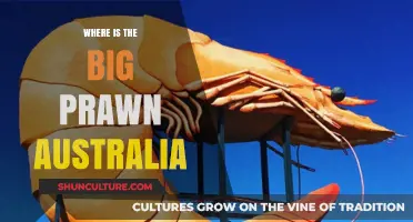 The Big Prawn: A Giant Crustacean in Australia