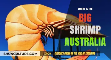 Big Shrimp: Australia's Best-Kept Secret