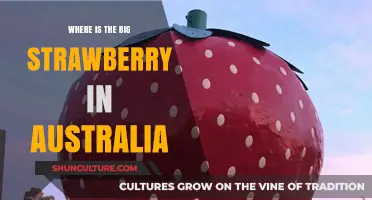 Strawberry Fields: Australia's Giant Strawberry