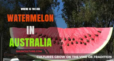 Where to Find Australia's Giant Watermelons