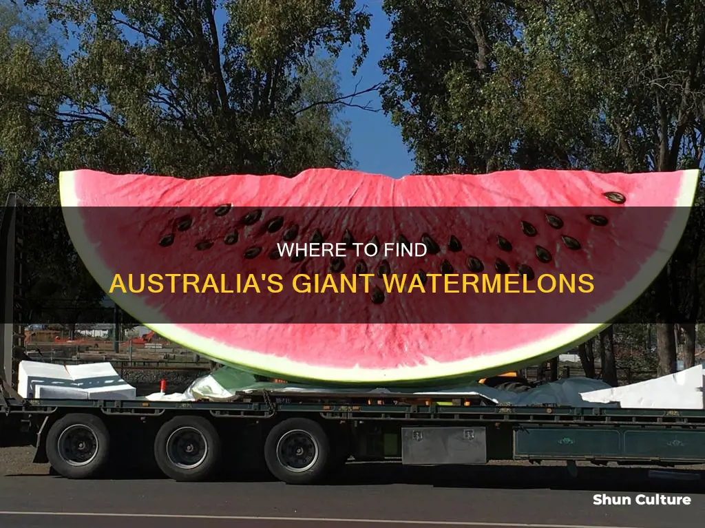 where is the big watermelon in australia