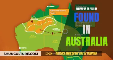Exploring Australia's Bilby Habitat: Where to Find These Marsupials