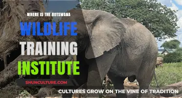 Discovering Botswana Wildlife Training Institute's Location and Offerings