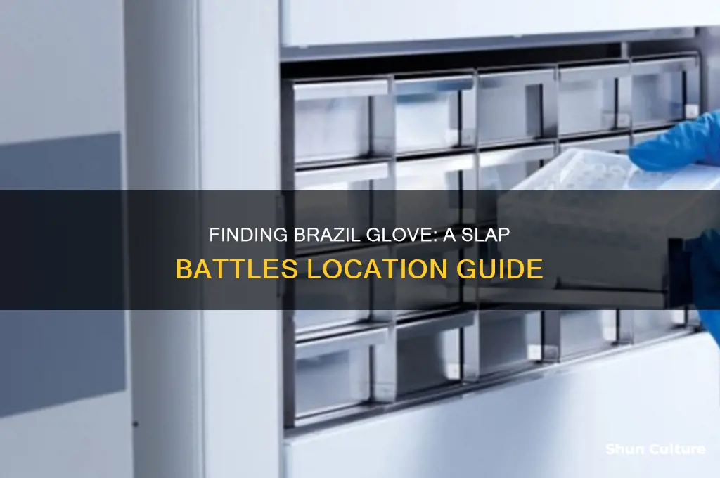 where is the brazil glove in slap battles