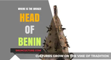 Tracing the Lost Bronze Head of Benin: A Quest for Cultural Heritage