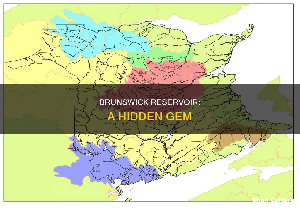 where is the brunswick reservoir