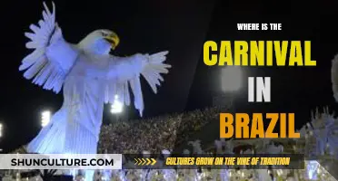 Discover Brazil's Carnival: Locations, Dates, and Must-See Celebrations