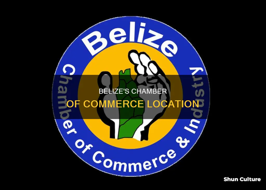 where is the chamber of commerce in belize located