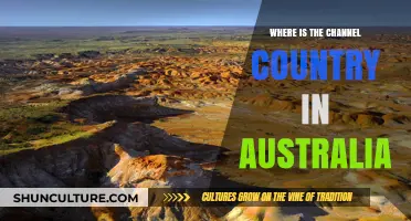 The Channel Country: Australia's Outback Oasis