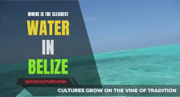 Belize's Pristine Waters Revealed