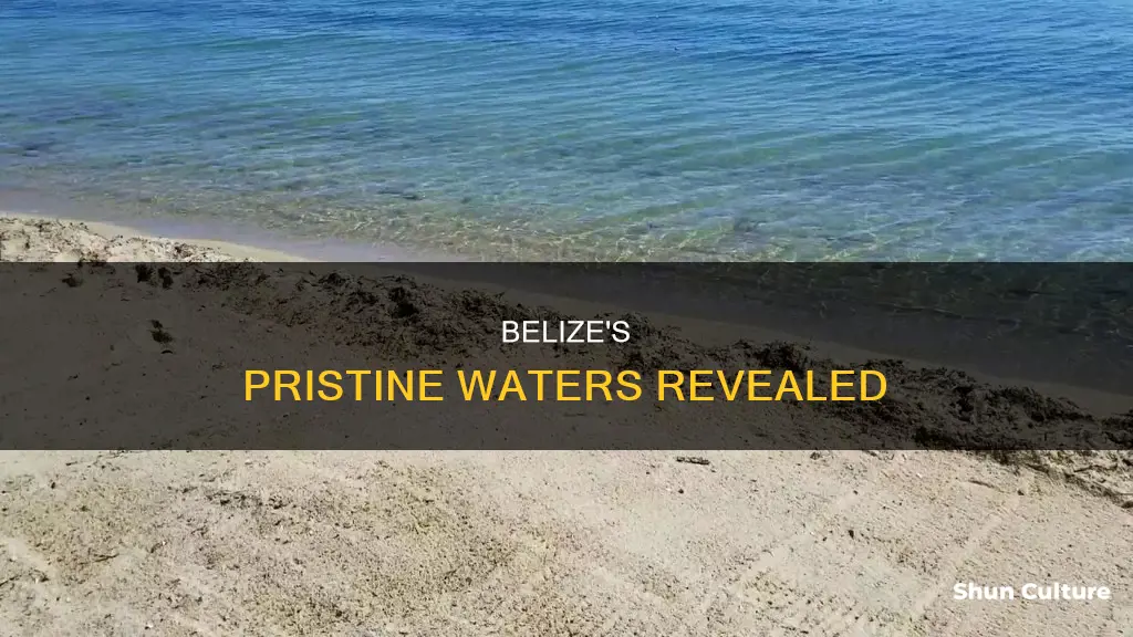 where is the clearest water in belize