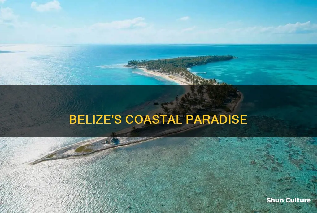 where is the coast of belize located