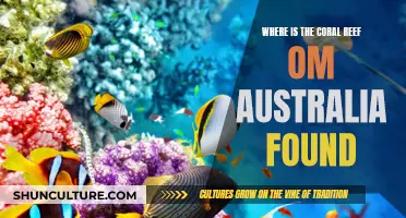 Exploring Australia's Coral Reefs: A Natural Wonder Down Under