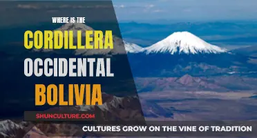 Exploring Bolivia's Cordillera Occidental: A Mountainous Journey