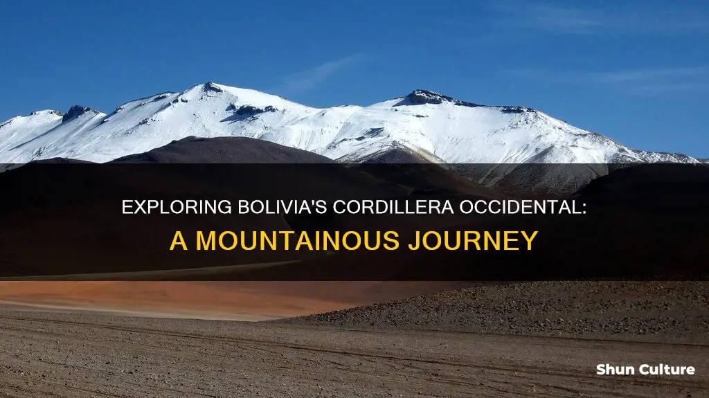 where is the cordillera occidental bolivia