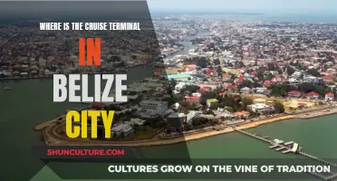 Cruise Terminal's Location in Belize City