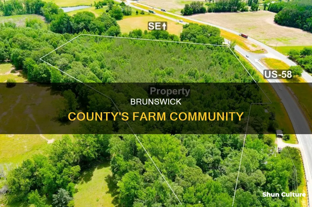 where is the farm community in brunswick county