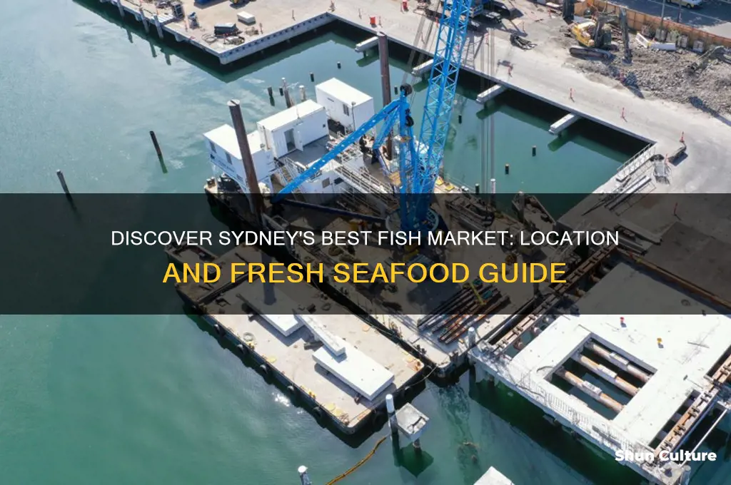 where is the fish market in sydney australia
