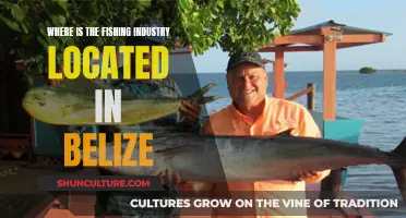 Belize's Fishing Industry: Where's the Catch?