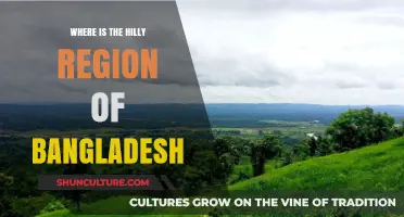 Exploring Bangladesh's Hilly Regions: Locations and Landscapes