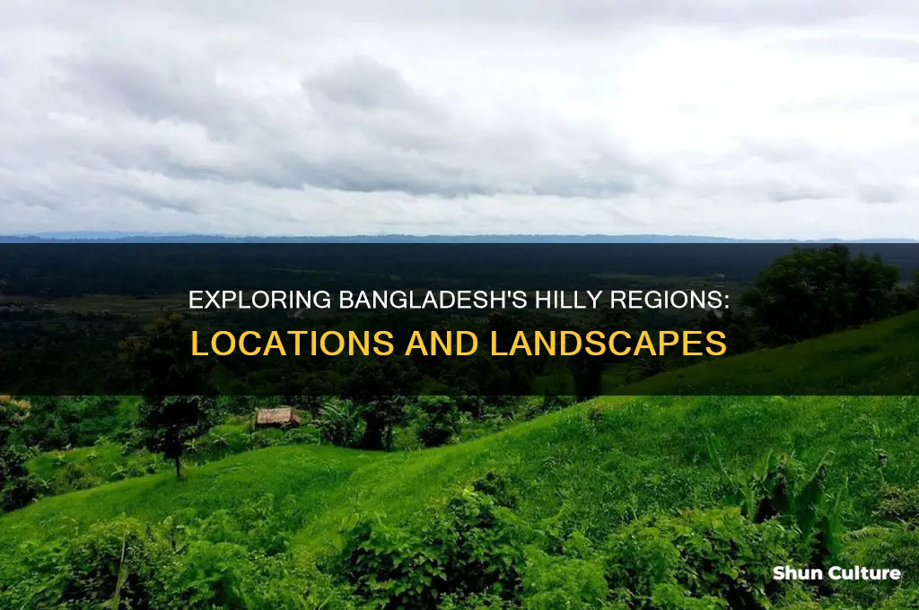 where is the hilly region of bangladesh