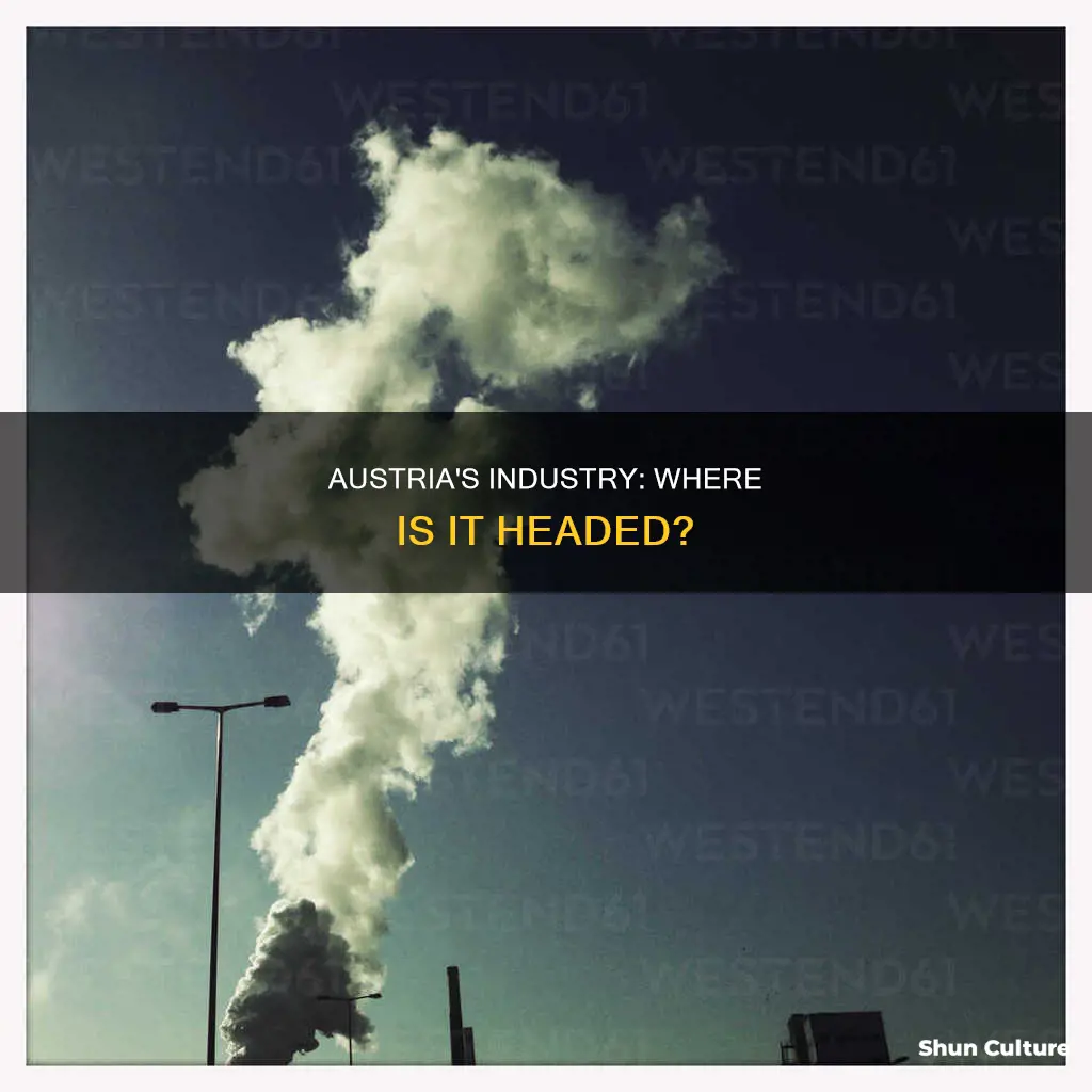 where is the industry in austria