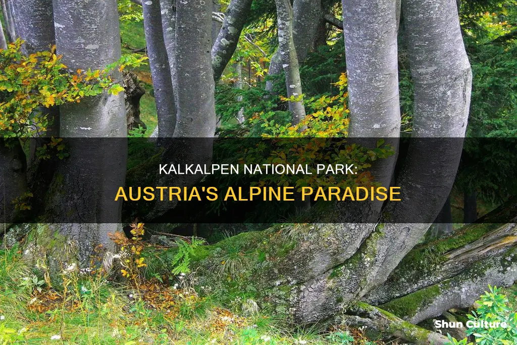 where is the kalkalpen national park in austria