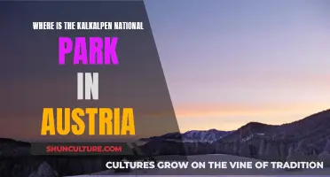 Exploring Kalkalpen National Park: Austria's Hidden Gem