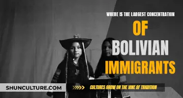 The Hub of Bolivian Immigrants: Where is it?