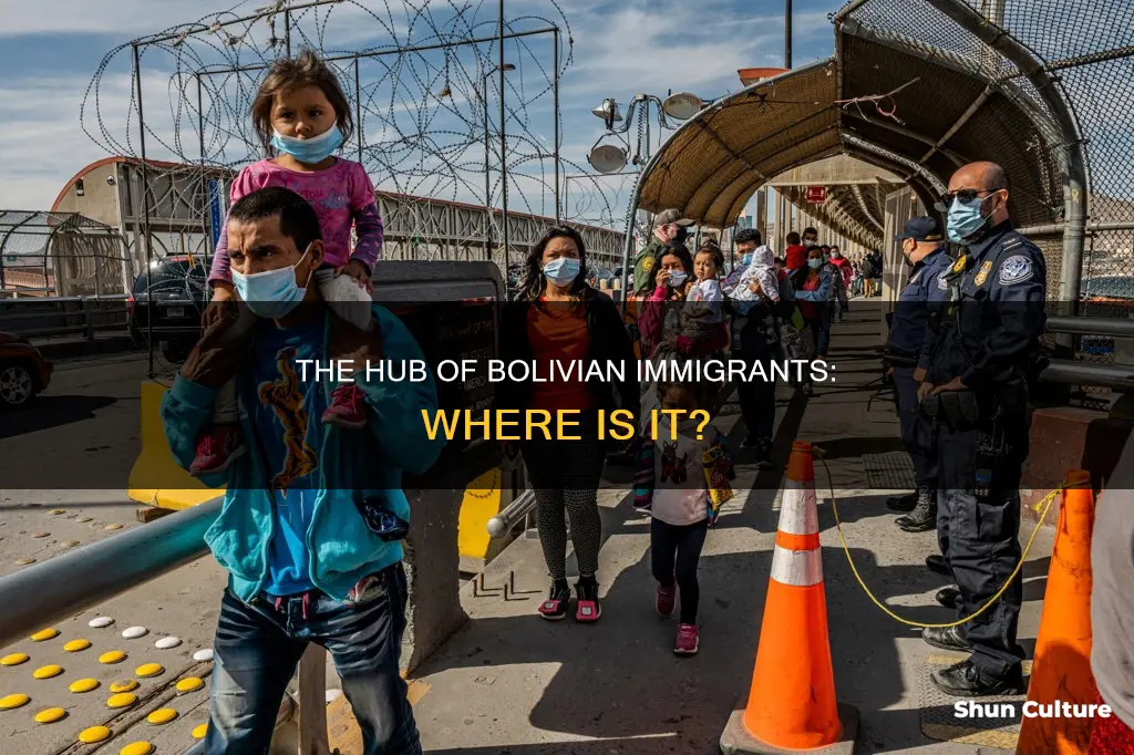 where is the largest concentration of bolivian immigrants