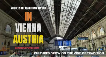 Vienna's Main Train Station: A Central Hub for Travelers